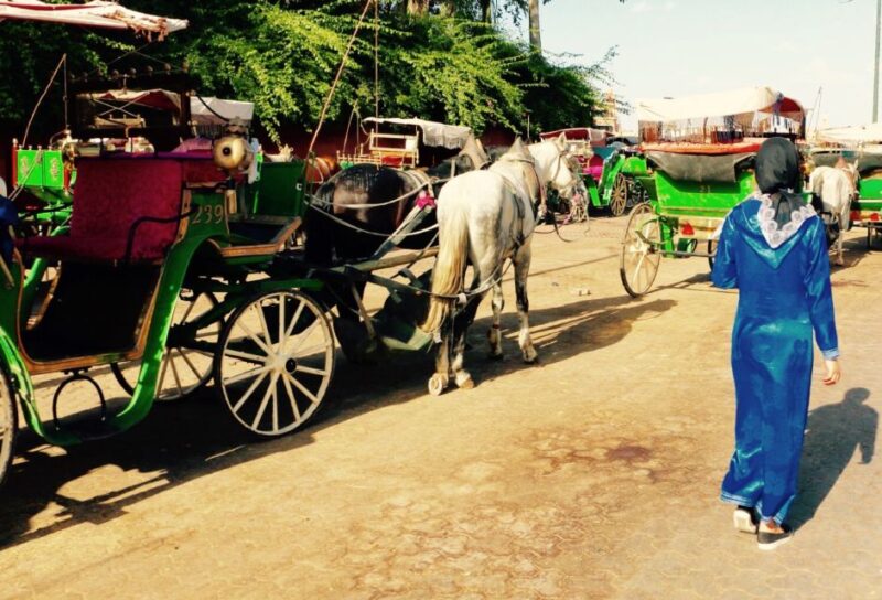 Marrakech Day Trip With Amazing Tour Guide - Cultural Experience Offered