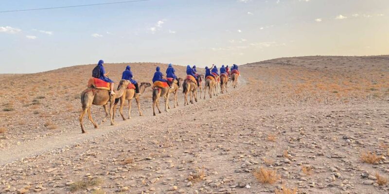 Marrakech Desert Dinner, Camels Riding, Show, Transfers Incl - Good To Know