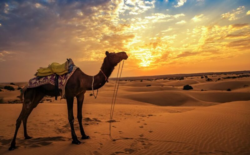 Marrakech: Desert Tours 3 Days to Fes - Pricing and Cancellation