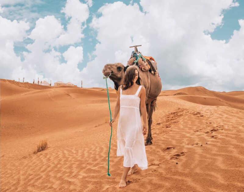 Marrakech: Desert Tours 3 Days to Fes - Day 3 Highlights