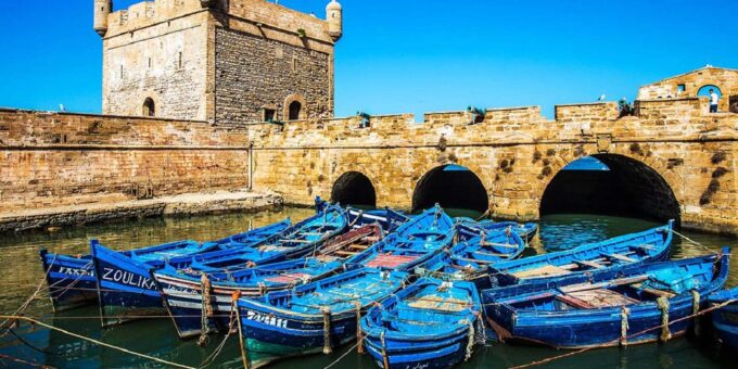 Marrakech: Essaouira Day Trip With Argan Oil Cooperative - Transportation and Guide Information