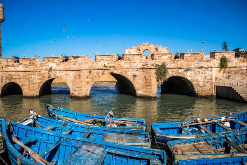Marrakech: Full-Day Trip To Essaouira - Savoring Local Seafood Delights