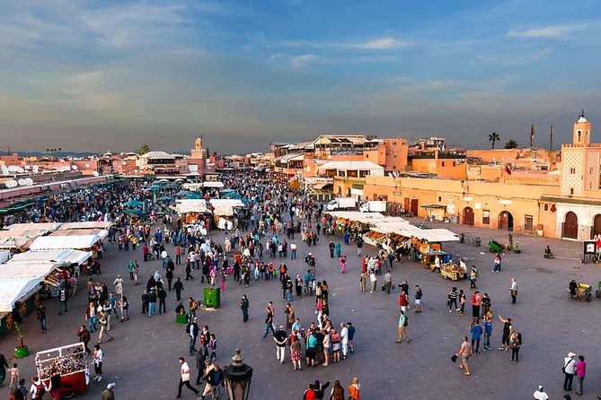 Marrakech Guided Day Tour From Agadir - Highlights of the Guided Tour