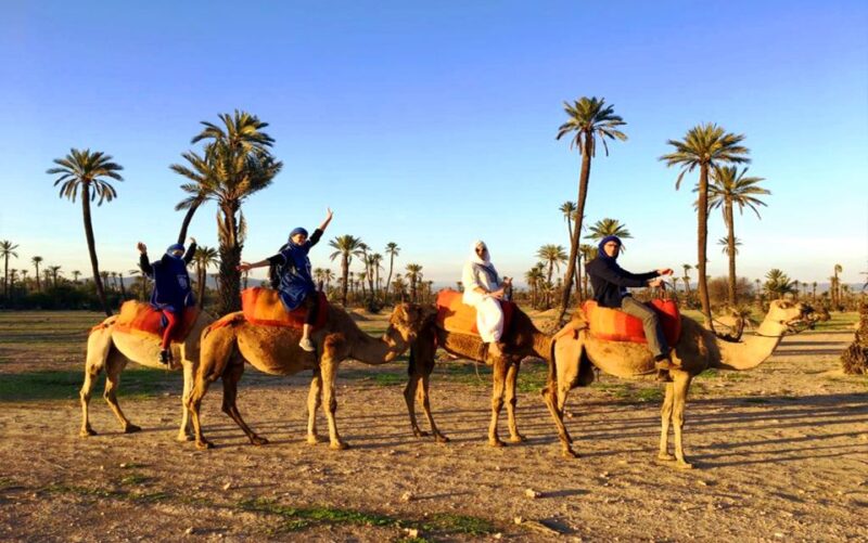 Marrakech: Half-day Dunes Trip With Buggy and Camel Ride - Good To Know