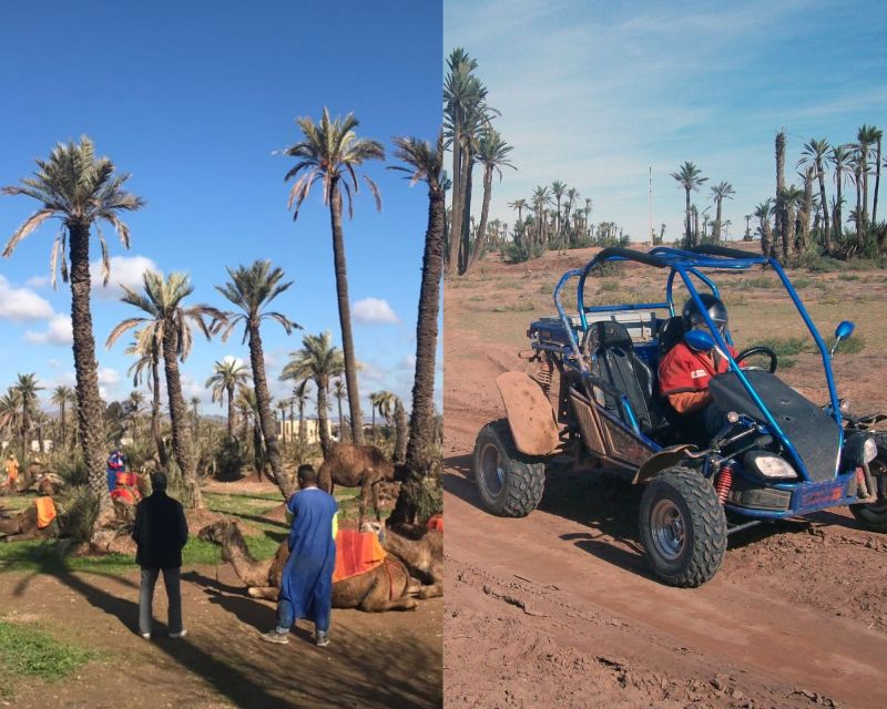 Marrakech: Half-day Dunes Trip With Buggy and Camel Ride - Inclusion and Transportation