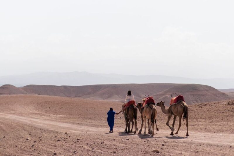 Marrakech: Half Day Tour To Agafay Desert and Camel Ride - Included Amenities