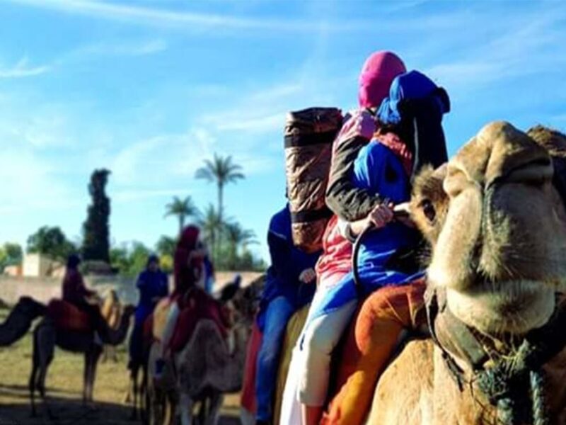 Marrakech: Half-Day Tour With Buggy Ride, Camel Ride and Spa - Good To Know