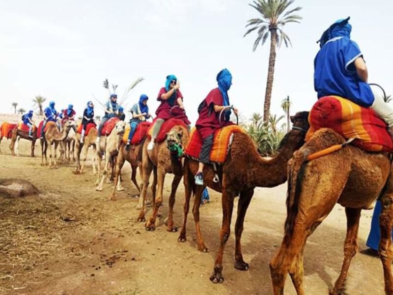 Marrakech: Half-Day Tour With Buggy Ride, Camel Ride and Spa - Relaxing Spa Treatment