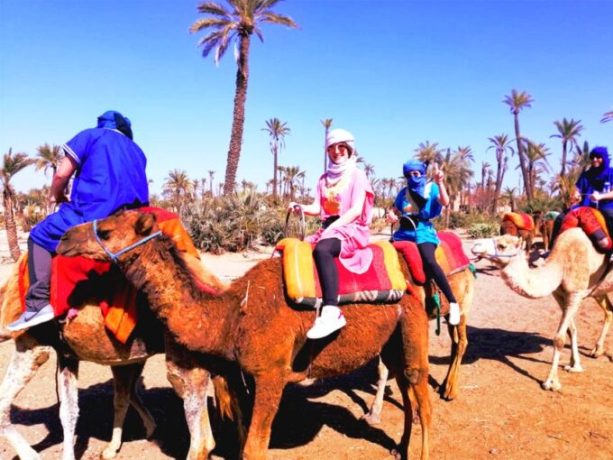 Marrakech: Half-Day Tour With Buggy Ride, Camel Ride and Spa - Berber Culture Insights