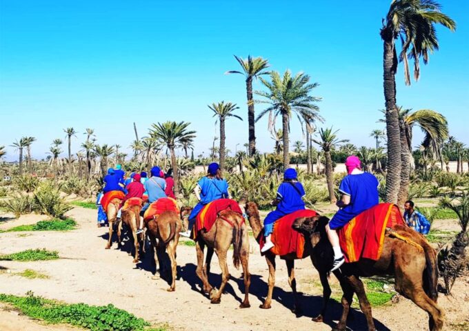 Marrakech: Half-Day Tour With Buggy Ride, Camel Ride and Spa - Booking Information and Policies