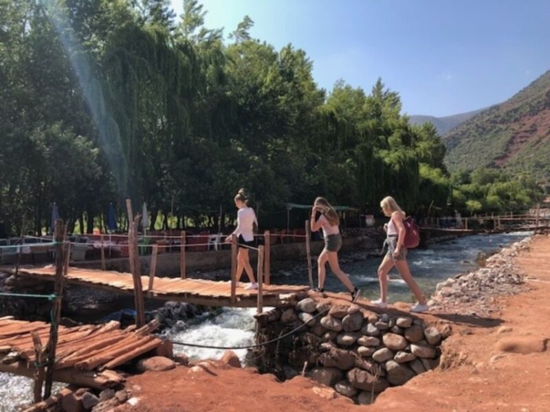 Marrakech: Half-Day Trip to the Atlas Mountains - Visit Argan Oil Factory