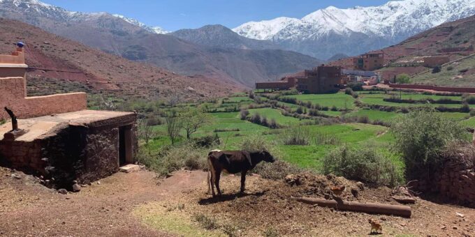 Marrakech: High Atlas Mountains and Yagour Plateau - Accommodation and Dining