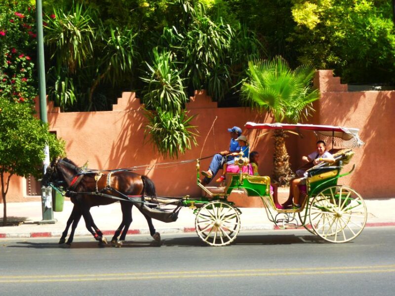 Marrakech: Horse-Drawn Carriage Tour - Good To Know