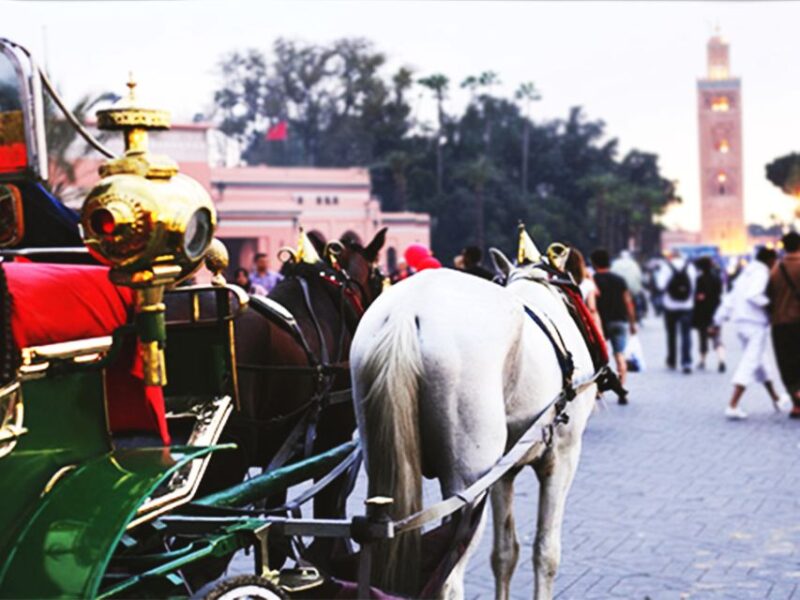 Marrakech: Horse-Drawn Carriage Tour - Experience and Itinerary
