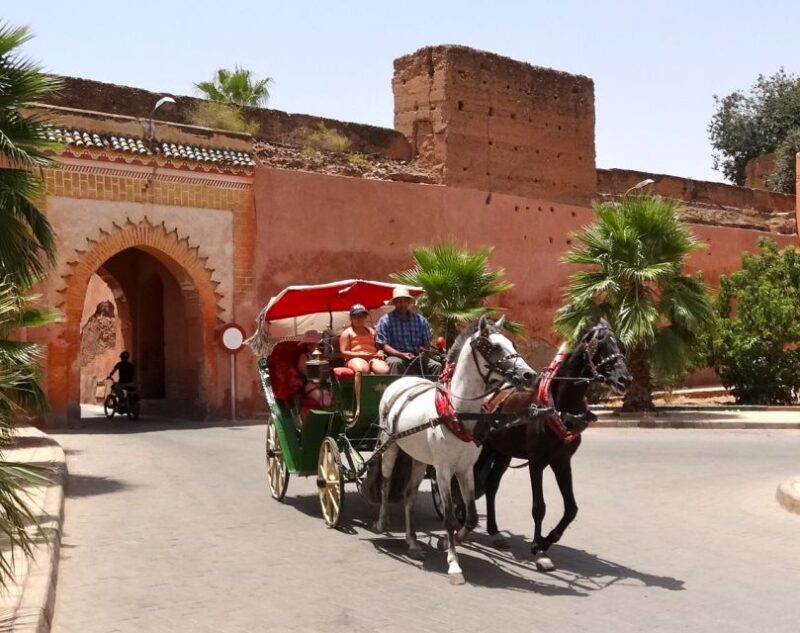 Marrakech: Horse-Drawn Carriage Tour - Inclusions and Amenities