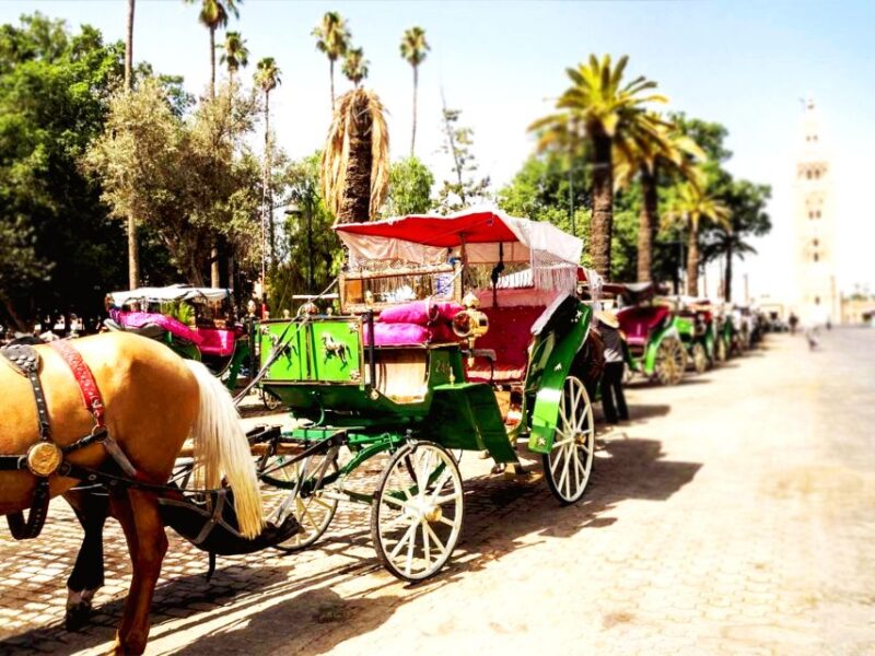 Marrakech: Horse-Drawn Carriage Tour - Customer Reviews and Ratings