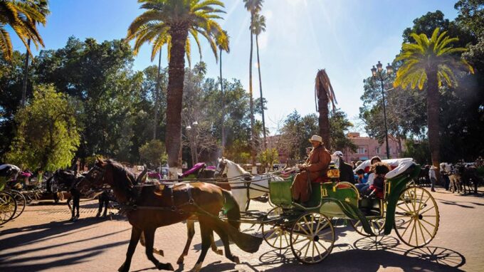 Marrakech: Horse-Drawn Carriage Tour - Frequently Asked Questions