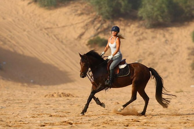 Marrakech Horse Riding - Health and Safety Guidelines