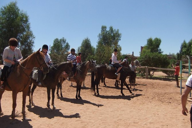 Marrakech Horse Riding - Tips for Riders