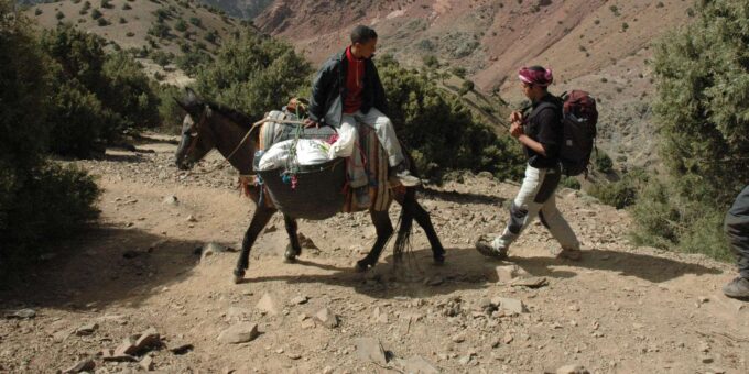 Marrakech: Imlil Day Trip With Mule Ride Day Trip - Trekking Through the Atlas Mountains