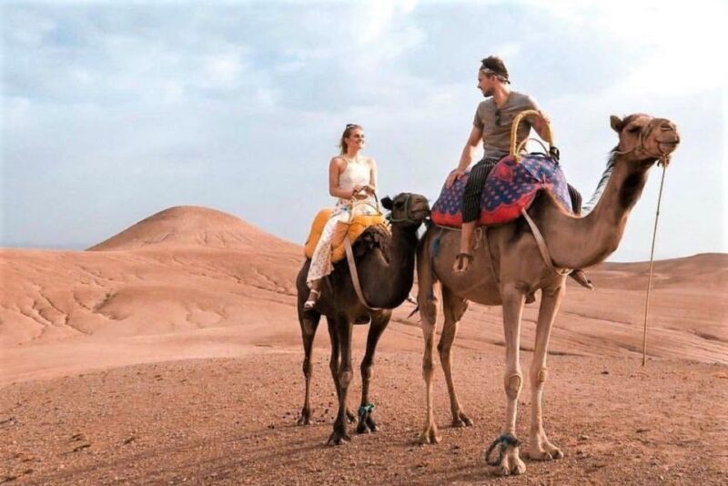 Marrakech: Luxurious Lunch, Camel Ride & Pool in Agafay - Important Tips and Considerations