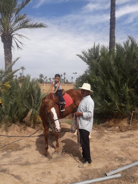 Marrakech: Majorel Garden, Camel Ride in Palmerai, City Trip - Customer Testimonials