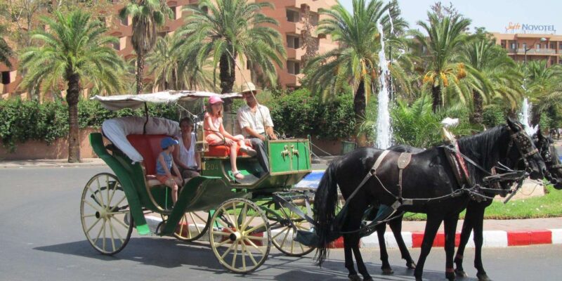 Marrakech: Majorelle & Menara Gardens Tour by Carriage Ride - Unraveling the Menara Gardens Beauty
