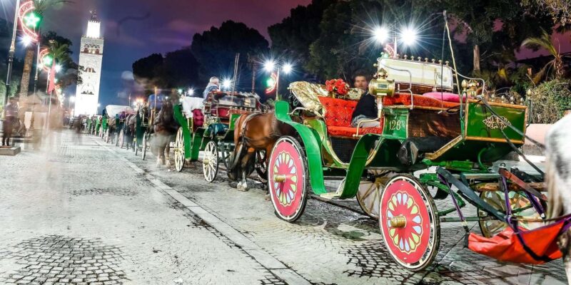 Marrakech: Majorelle & Menara Gardens Tour by Carriage Ride - Panoramic Views of the Atlas Mountains