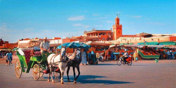 Marrakech: Majorelle & Menara Gardens Tour by Carriage Ride - The Agdal Gardens Citrus Bounty