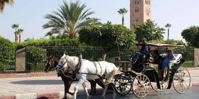 Marrakech: Majorelle & Menara Gardens Tour by Carriage Ride - Convenient Tour Inclusions and Flexibility