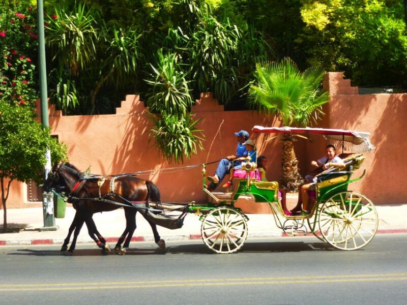 Marrakech: Majorelle & Menara Gardens Tour & Carriage Ride - Good To Know