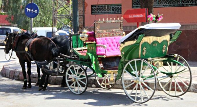 Marrakech: Majorelle & Menara Gardens Tour & Carriage Ride - Escaping the Desert Atmosphere of Marrakech