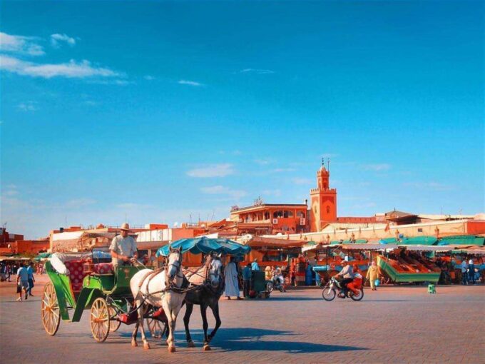 Marrakech: Majorelle & Menara Gardens Tour & Carriage Ride - Cultural Influence and History of the Gardens