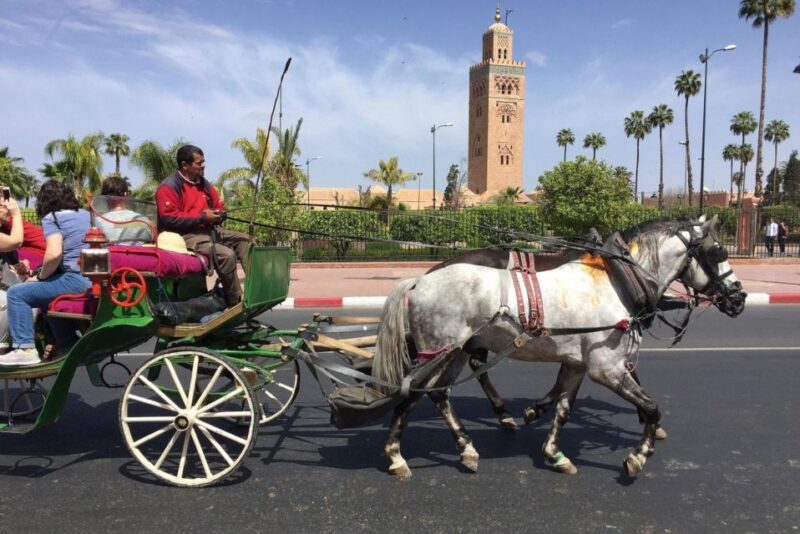 Marrakech: Majorelle & Menara Gardens Tour & Carriage Ride - Pricing and Inclusions