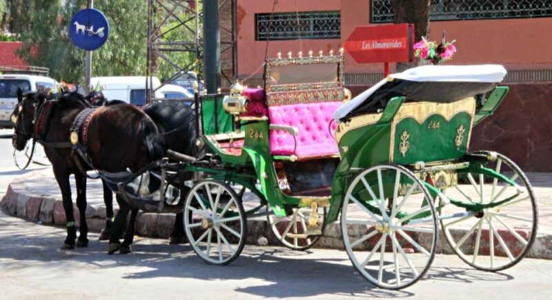 Marrakech: Majorelle & Menara Gardens Tour & Carriage Ride - Discovering Marrakechs Rich History