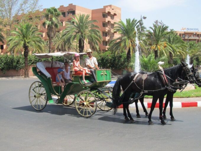 Marrakech: Majorelle & Menara Gardens Tour & Carriage Ride - Accessibility and Language Support