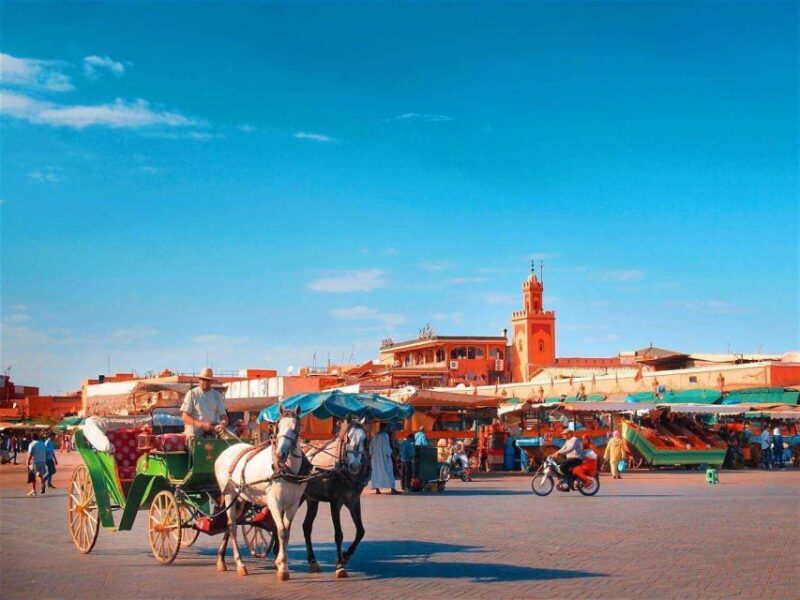 Marrakech: Majorelle & Menara Gardens Tour & Carriage Ride - Good To Know