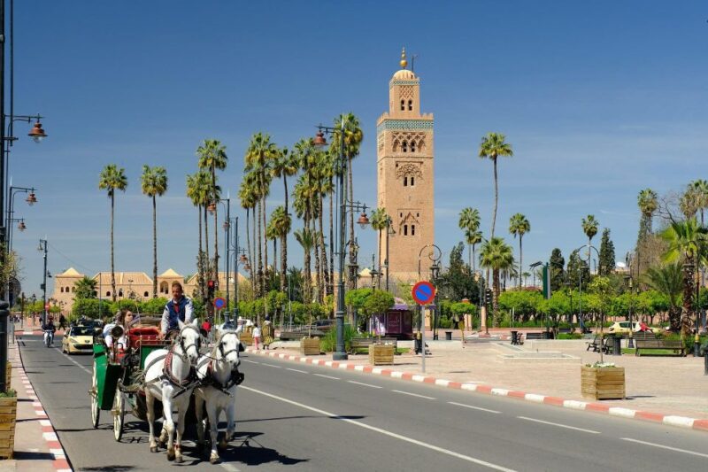 Marrakech: Majorelle & Menara Gardens Tour & Carriage Ride - Scenic Horse-Drawn Carriage Ride