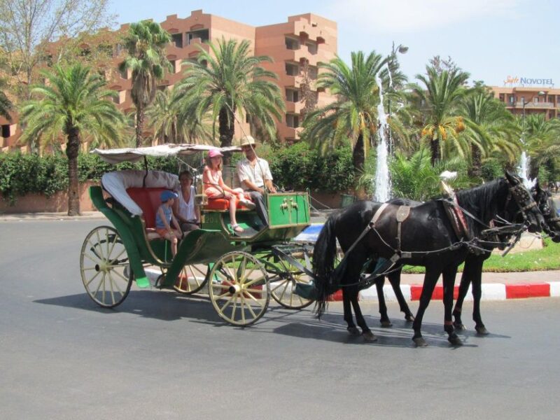 Marrakech: Majorelle & Menara Gardens Tour & Carriage Ride - Pickup and Drop-off Locations