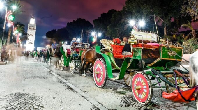 Marrakech: Majorelle & Menara Gardens Tour & Carriage Ride - Tour Inclusions and Exclusions