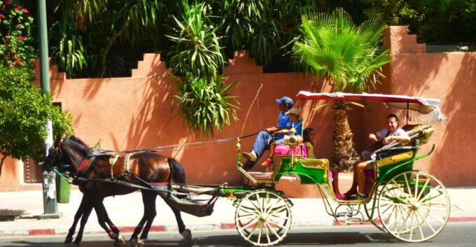 Marrakech: Majorelle & Menara Gardens Tour & Carriage Ride - Customer Feedback and Ratings