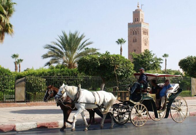 Marrakech: Majorelle & Menara Gardens Tour & Carriage Ride - Booking Information and Availability