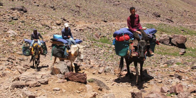 Marrakech: Mount Toubkal 2-Day Trek With Guide - What to Bring and Not Bring