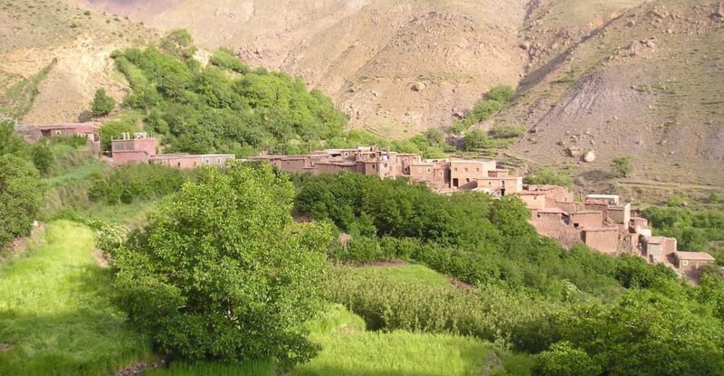 Marrakech: Ourika Valley, Atlas Mountain, Waterfall Day Trip - Exploring Berber Villages and Architecture