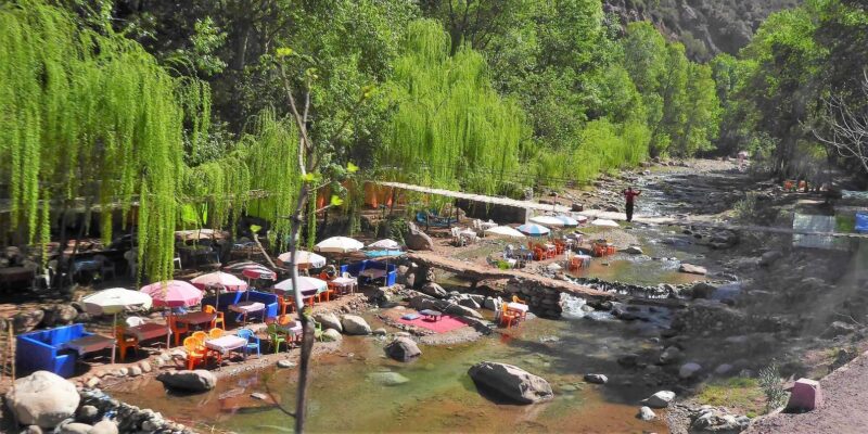 Marrakech: Ourika Valley, Atlas Mountain, Waterfall Day Trip - Visiting the Argan Oil Cooperative