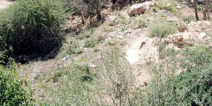 Marrakech Ourika Valley Waterfall Guided Tour and Lunch - Local Cuisine and Beverages