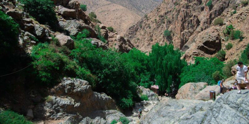 Marrakech: Ourikas Refreshing Waterfalls in Atlas Mountains - Visiting Argan Oil Cooperatives