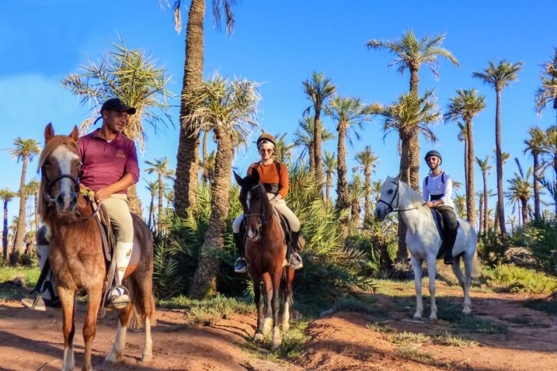 Marrakech: Palm Grove Horseback Riding Tour - Good To Know