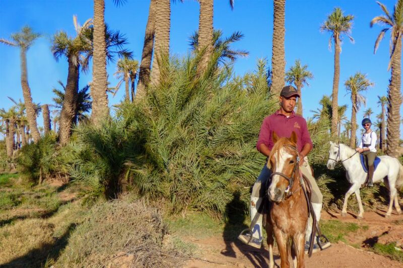 Marrakech: Palm Grove Horseback Riding Tour - Highlights of the Experience