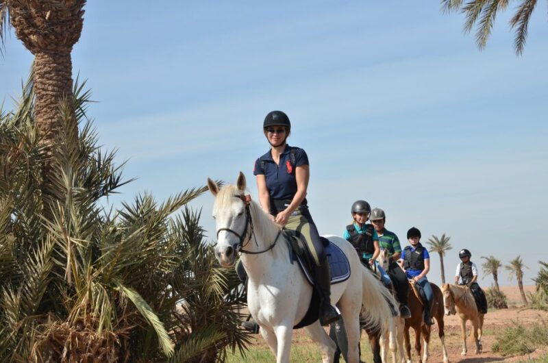 Marrakech: Palm Grove Horseback Riding Tour - Detailed Itinerary